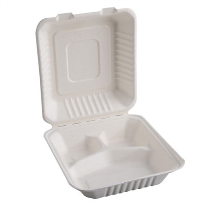 Compostable Sugarcane Container